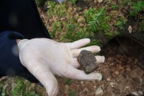 Вакцина сделана из костной муки