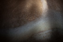 Варится пиво