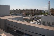 Объем инвестиций в нижегородский пивзавод Волга с 2005 года составил 170 млн. евро