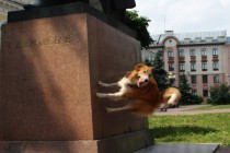 Участие в праздновании приняли не только люди, но и животные