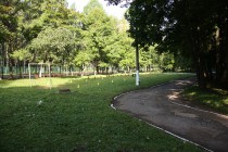 Двор Санаторно-лесной школы