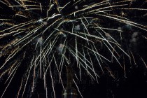 Церемония объявления городов-организаторов чемпионата мира по футболу в России в 2018 году