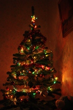 Председатель Российского Правительства Дмитрий Медведев подписал распоряжение о переносе выходных дней в 2013 году