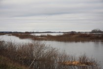 Подъем уровня воды связан с большой приточностью на Рыбинском водохранилище