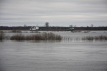 Уровень воды в Волге поднялся на несколько метров
