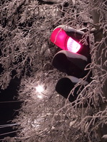 фото: НИА Нижний Новгород