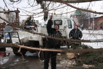 Работа по установке елки