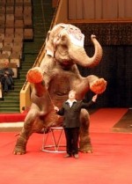 фото с сайта infovoronezh.ru