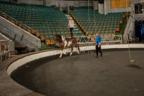 На манеже проходят тренировки перед премьерой шоу