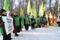 Активисты партий Альянс зеленых – Народная партия и Справедливая Россия