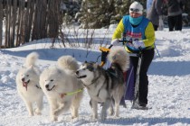 Беговая дистанция составила от двух до 15 км.