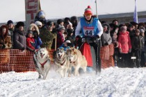 Старт гонки на собачьих упряжках