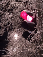 Фото НИА Нижний Новгород