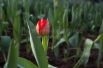 Фото НИА Нижний Новгород