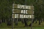 Посещение лесов запрещено в 26 районах Нижегородской области