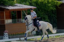 Чемпионат завершился показательными выступлениями отряда нижегородской конной полиции