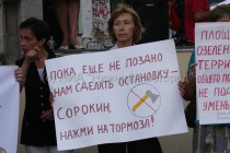 Участники митинга потребовали от главы Нижнего Новгорода не допустить вырубки парка