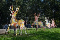 День города в Нижнем Новгороде