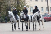 Конная полиция по традиции обеспечивает безопасность футбольных матчей в Нижнем Новгороде
