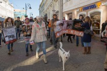 Всероссийский антимеховой марш прошел в Нижнем Новгороде