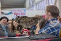 Выставка-ярмарка Зоомир-2013