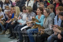 Выставка-ярмарка Зоомир-2013