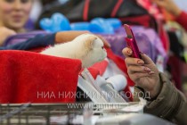 Выставка-ярмарка Зоомир-2013