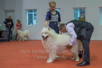 Выставка-ярмарка Зоомир-2013