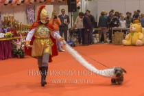 Выставка-ярмарка Зоомир-2013