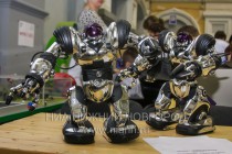 Радиоуправляемые роботы