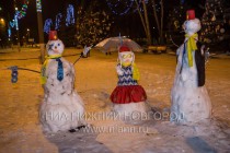 Объезд елочных комплексов  Нижнего Новгорода