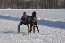 Горгона РИН под управлением наездника II категории Николая Жукова