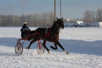 Наездник I категории Кирилл Турков на квалификационном забеге