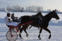 Рудбекия под управлением Михаила Туркова (на первом плане) и Дресс Код под управлением Оксаны Жучковой