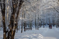 Морозная погода установилась в Нижнем Новгороде