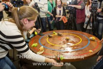 Улиткам необходимо было пересечь красную линию (45 см от центра стола)