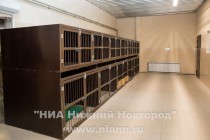 Современный пункт передержки бездомных животных открылся в Нижнем Новгороде