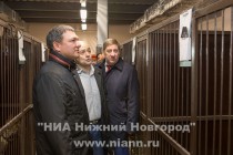 Современный пункт передержки бездомных животных открылся в Нижнем Новгороде