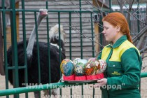 В зоопарке Лимпопо прошел мастер-класс по росписи страусиных яиц