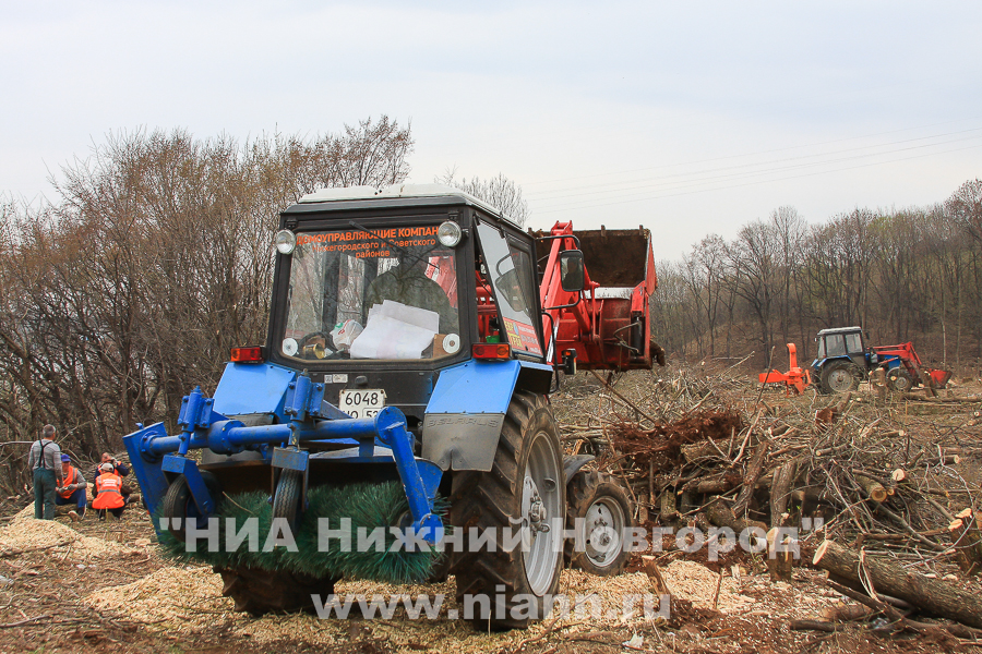 Более 500 деревьев спилено на территории памятника природы регионального значения Урочище Слуда в Нижнем Новгороде