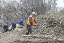 Рабочие завершают распил деревьев для последующей загрузки