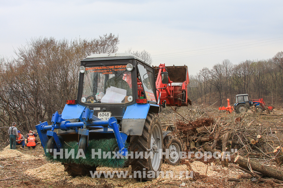 Минэкологии Нижегородской области опровергает информацию о вырубке деревьев на территории памятника природы Урочище Слуда в Нижнем Новгороде