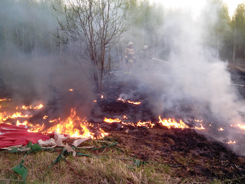Нижегородская транспортная прокуратура проводит проверку по факту возгорания воздушного шара в Чкаловском районе Нижегородской области