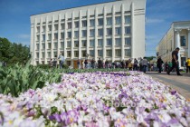 Очередной митинг работников открытых павильонов Канавинского рынка прошел в Нижегородском кремле