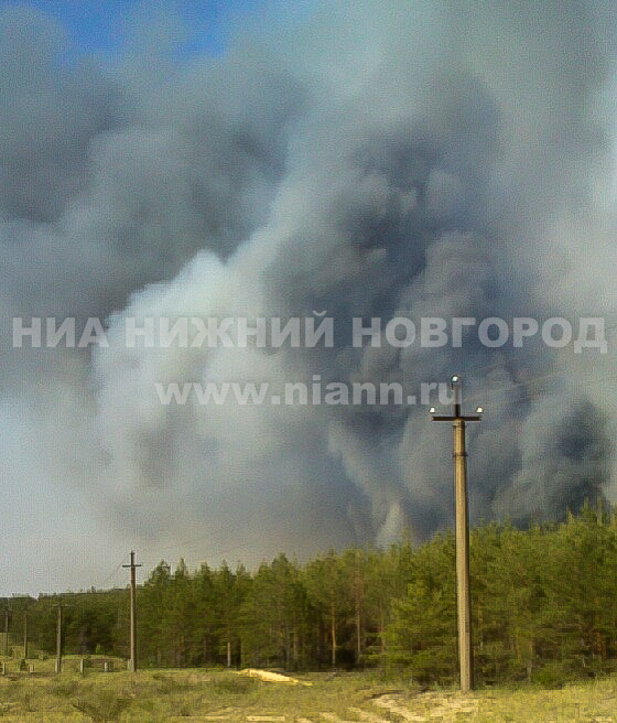 Лесной пожар произошел возле Нижегородского шоссе под Дзержинском