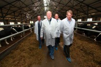 Врио губернатора Нижегородской области Валерий Шанцев провел ряд выездных совещаний по развитию животноводства в регионе