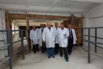 Врио губернатора Нижегородской области Валерий Шанцев провел ряд выездных совещаний по развитию животноводства в регионе