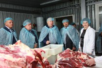 Врио губернатора Нижегородской области Валерий Шанцев провел ряд выездных совещаний по развитию животноводства в регионе