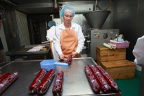 Врио губернатора Нижегородской области Валерий Шанцев провел ряд выездных совещаний по развитию животноводства в регионе