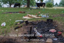 На лугу среди мусора паслись коровы